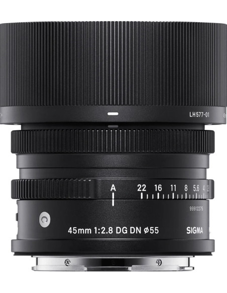 SIGMA FP FULL FRAME 246MP  AF 45 28 C DG DN